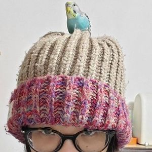 Meet your Posher, Lai yee